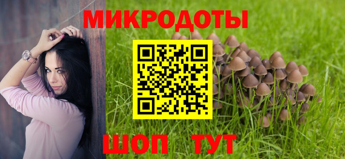 Галлюциногенные грибы GOLDEN TEACHER  Галлюциногенные грибы Magic Shrooms  где продают наркотики  Саров  Вход с VPN 